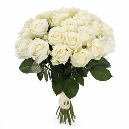 Bouquet de Fleurs 25 Roses Blanches, Boite de Fleurs 25 Roses Blanches, Fleuriste Casablanca, Livraison Fleurs Casablanca, Bouquet de Fleurs, Pretty Flowers