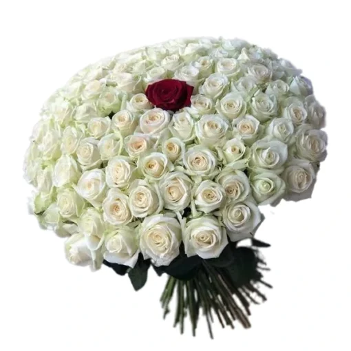 Bouquet 101 Roses B&R, Fleuriste Casablanca, Livraison Fleurs Casablanca, Bouquet de Fleurs, Pretty Flowers 3
