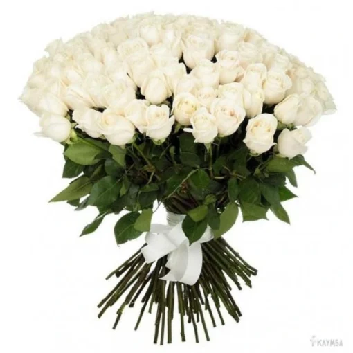 Bouquet 101 Roses Blanches, Fleuriste Casablanca, Livraison Fleurs Casablanca, Bouquet de Fleurs, Pretty Flowers